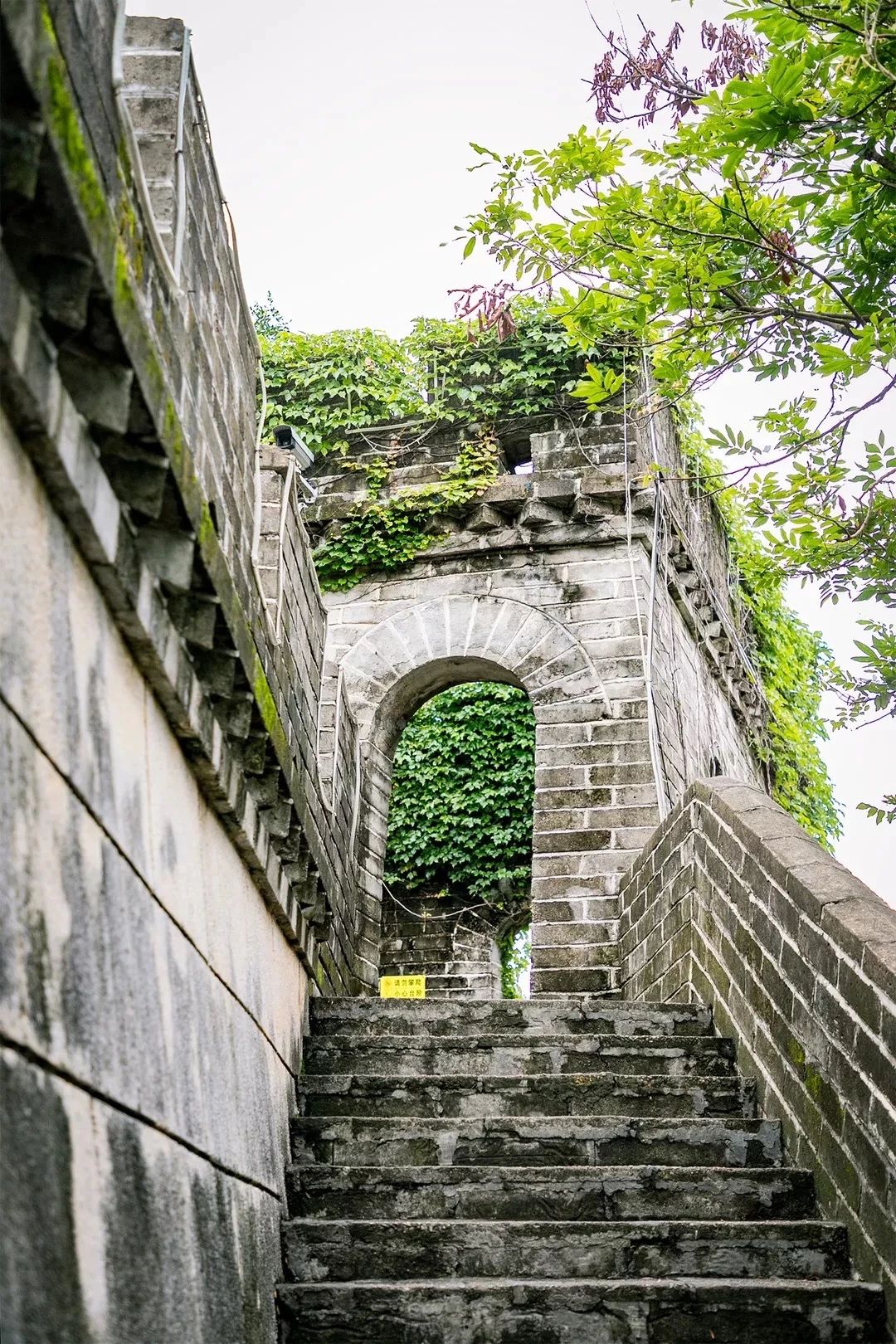 放假在深圳能去哪里玩,放假了可以去深圳的哪些地方玩