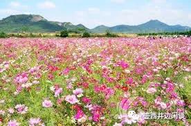 长乐游玩攻略旅游线路推荐,长乐南阳山旅游路线