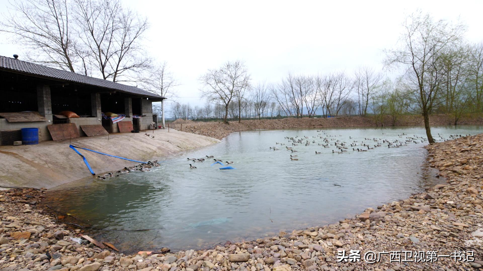 灵渠边的村庄为何饮水难？兴安柑桔怎样卖到了俄罗斯……