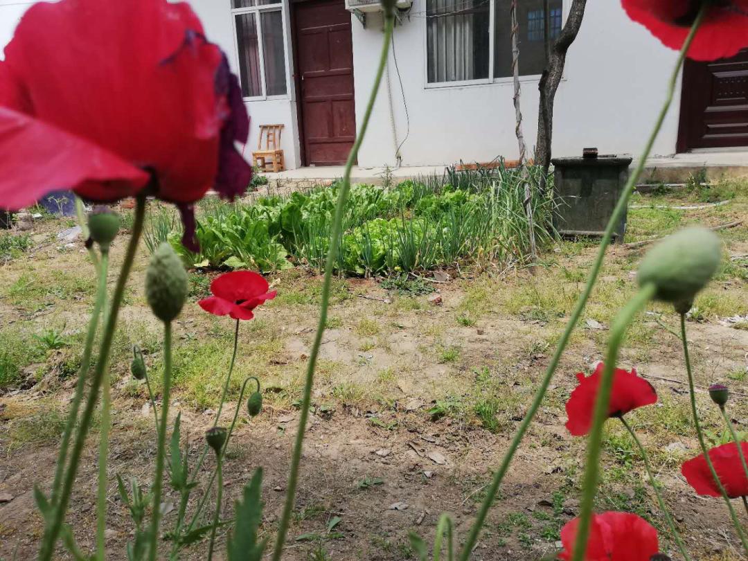 闲着木事儿，你来俺家玩儿呗