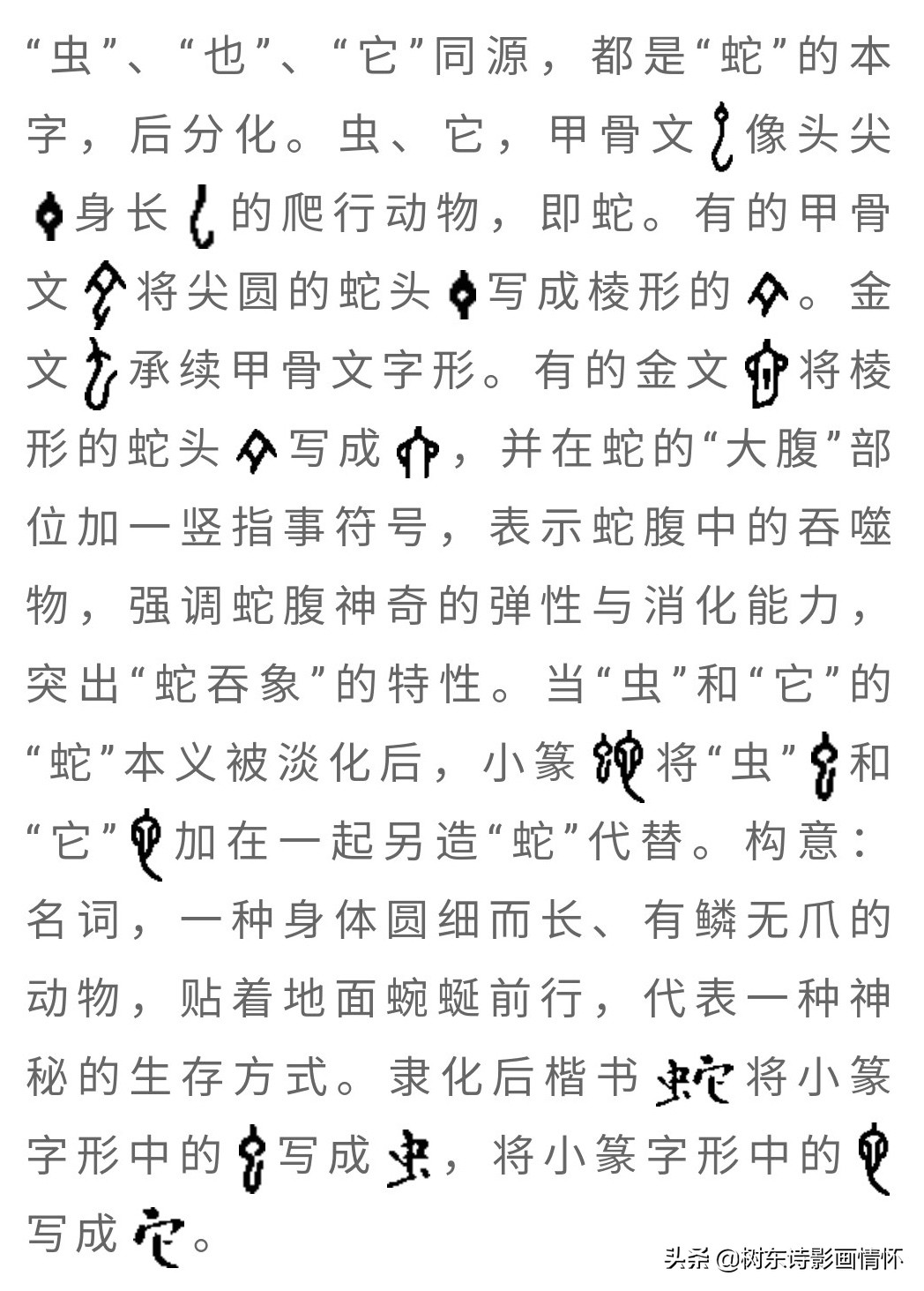 树繁体字说文解字,树字的说文解字