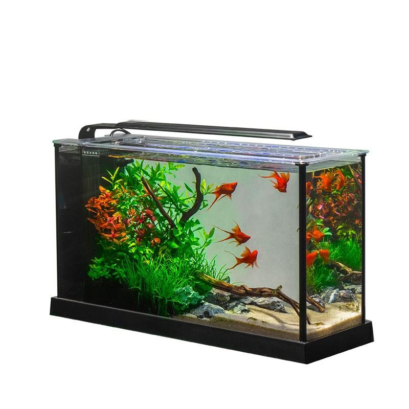 新手小白养鱼怎么选择鱼缸,养鱼怎么选择鱼缸