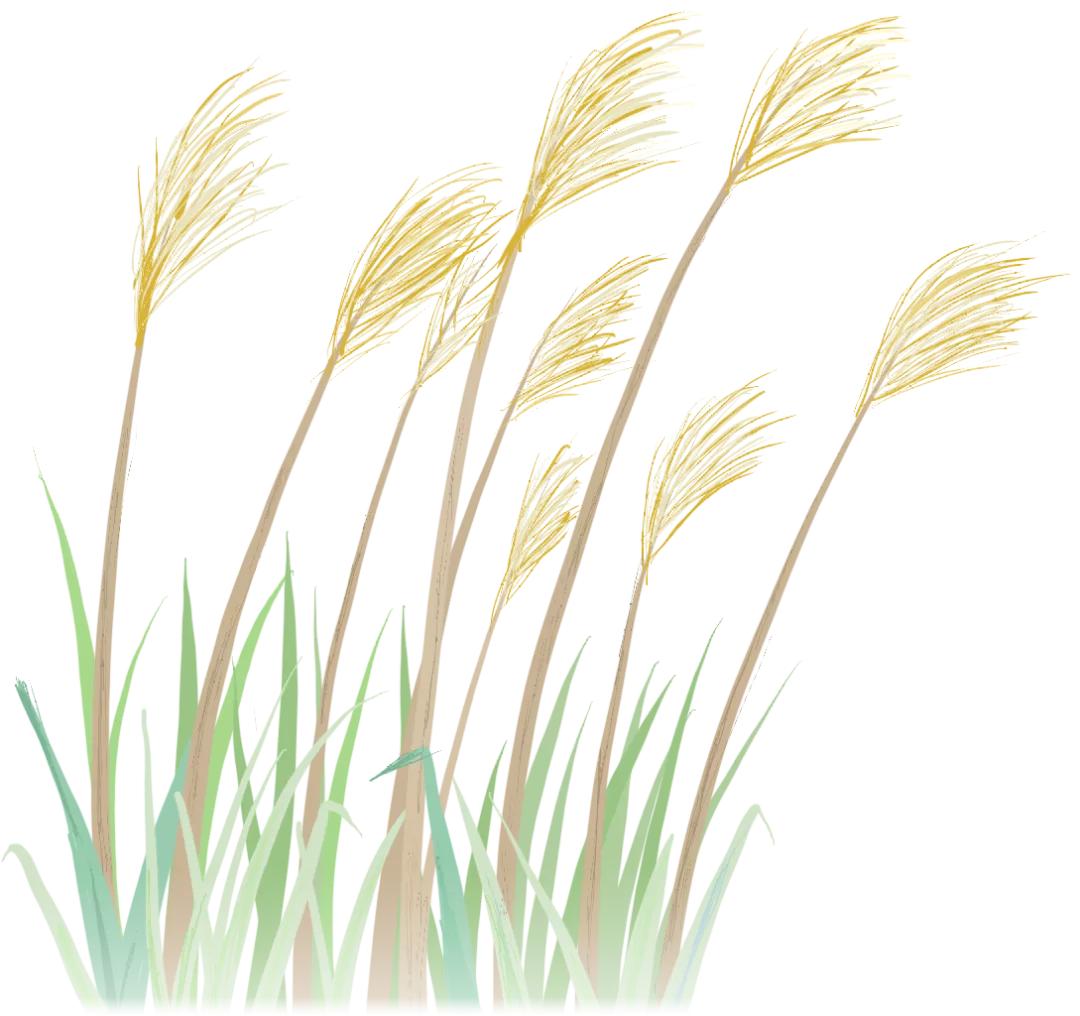 文明清风新吴有礼|江溪小学:倡导文明之风共践文明之行