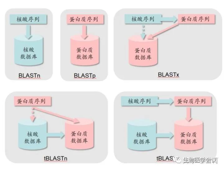 生物信息学入门什么书好,从生物信息学角度解读