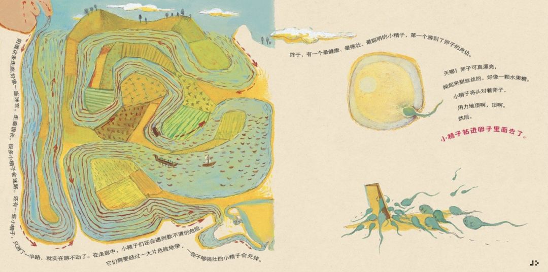 如何跟青少年孩子谈性教育,性教育应该怎样分年龄段