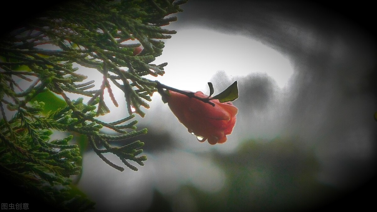 义乌旅游攻略2-3天一晚住宿费用,义乌游玩攻略大龄父母