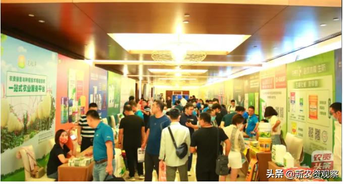 海南哈密瓜大市场,海南哈密瓜市场前景