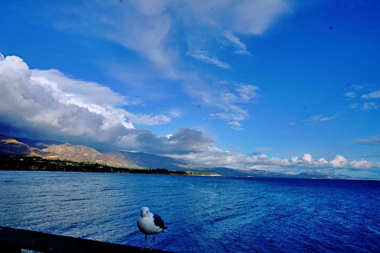 美国德州西部自由行,美国西海岸可以自由航行么