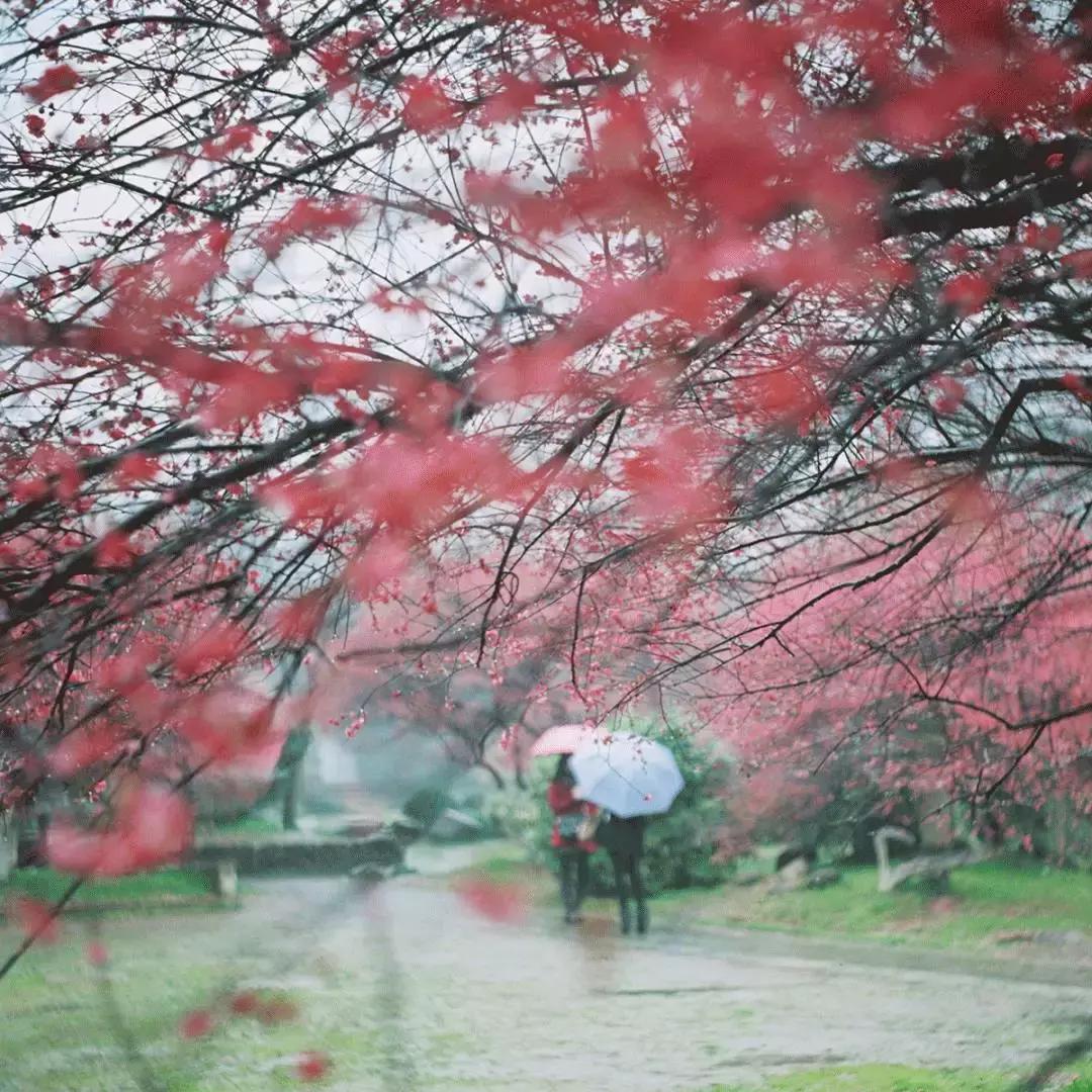 看腻了性冷淡的极简风,清冷系和性冷淡风