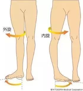 得了梨状肌怎么锻炼,得了梨状肌综合征需要注意什么