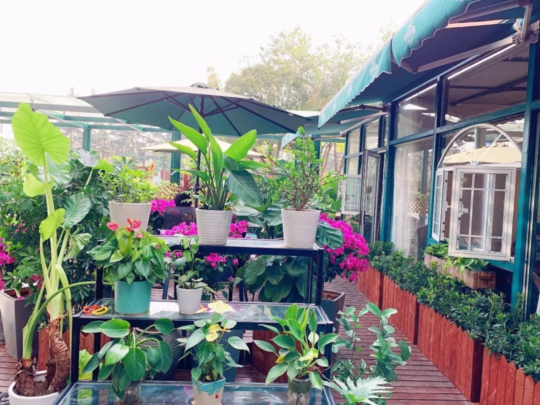 泰晤士小镇怎么去有啥好玩的,泰晤士小镇怎么拍