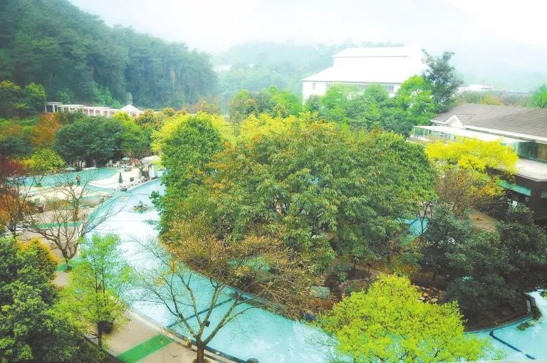 乐山温泉攻略,乐山周围温泉