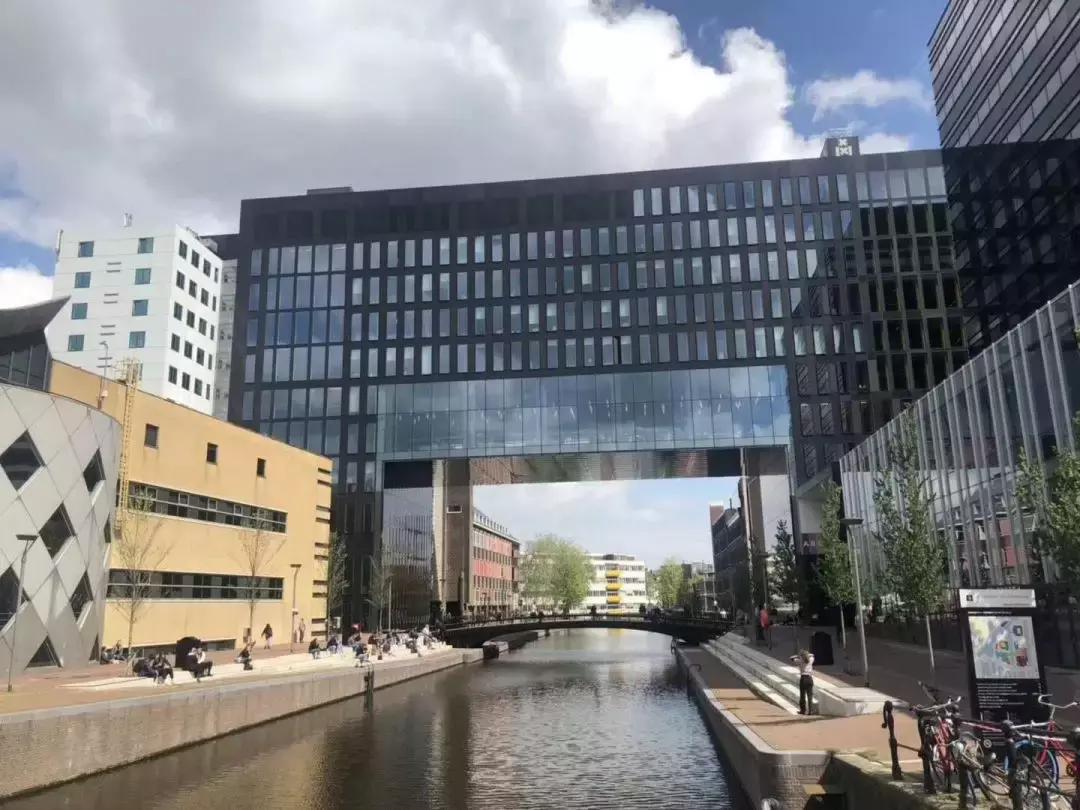 名师探访——风中国度的自由之花，荷兰阿姆斯特丹大学