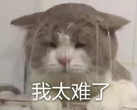 致敬逆行卖家：2020年，难！才好玩！