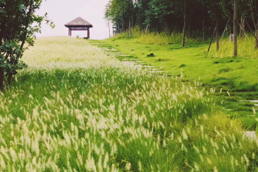 重庆主城网红打卡地景点推荐,重庆新网红地打卡