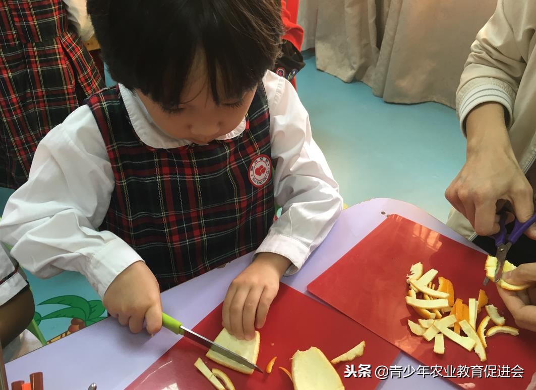 「活动回顾」「萌芽行动」瑞兴艺术幼儿园公益课