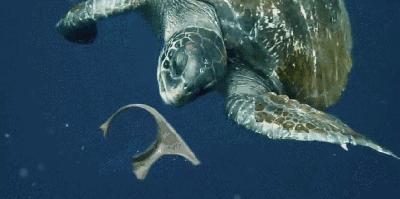 可乐瓶塑料制品,可乐瓶塑料