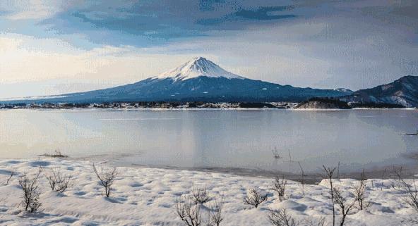 日本除甲醛豆子,日本甲醛清除剂真的有效吗