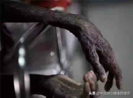 认识艾滋病公益宣传片,认识艾滋病经典句子