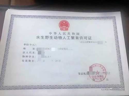 龟鳖养殖经营许可证,龟鳖养殖手续