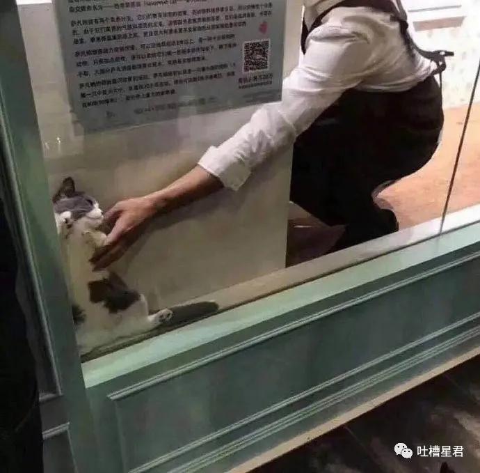 发现男朋友微信小号,发现了男友微信小号