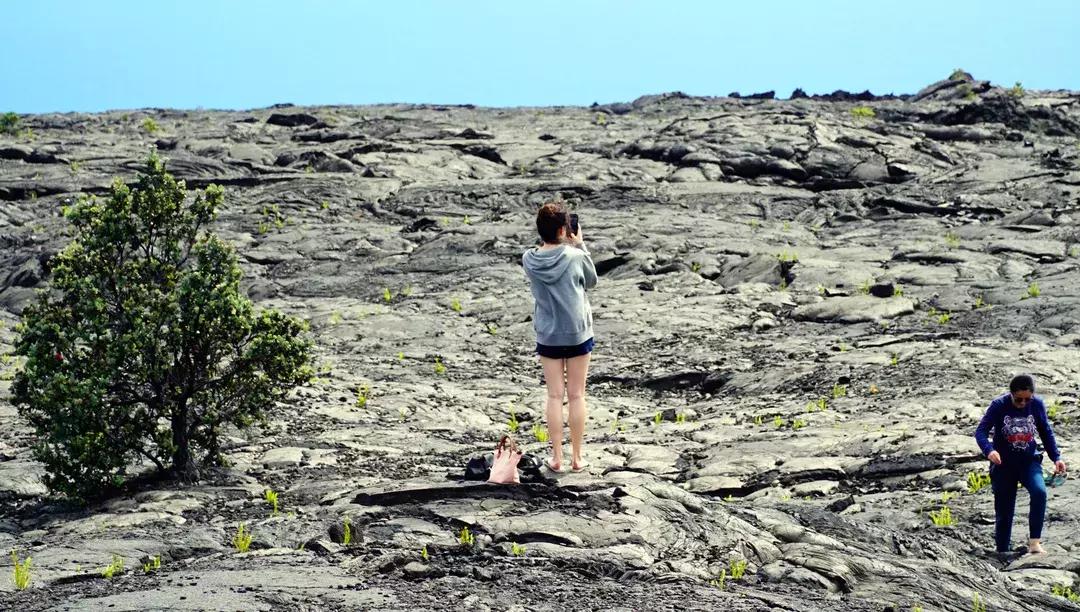 夏威夷大岛自驾游游记,大岛夏威夷岛七日游