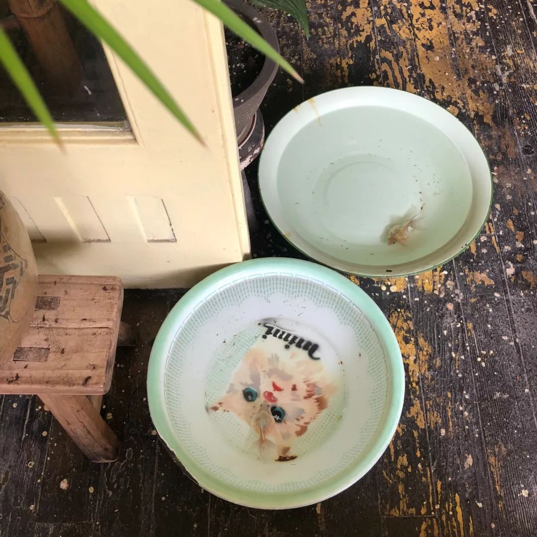 趁着午休两小时，他们在天台上组了个jió盆烤肉趴