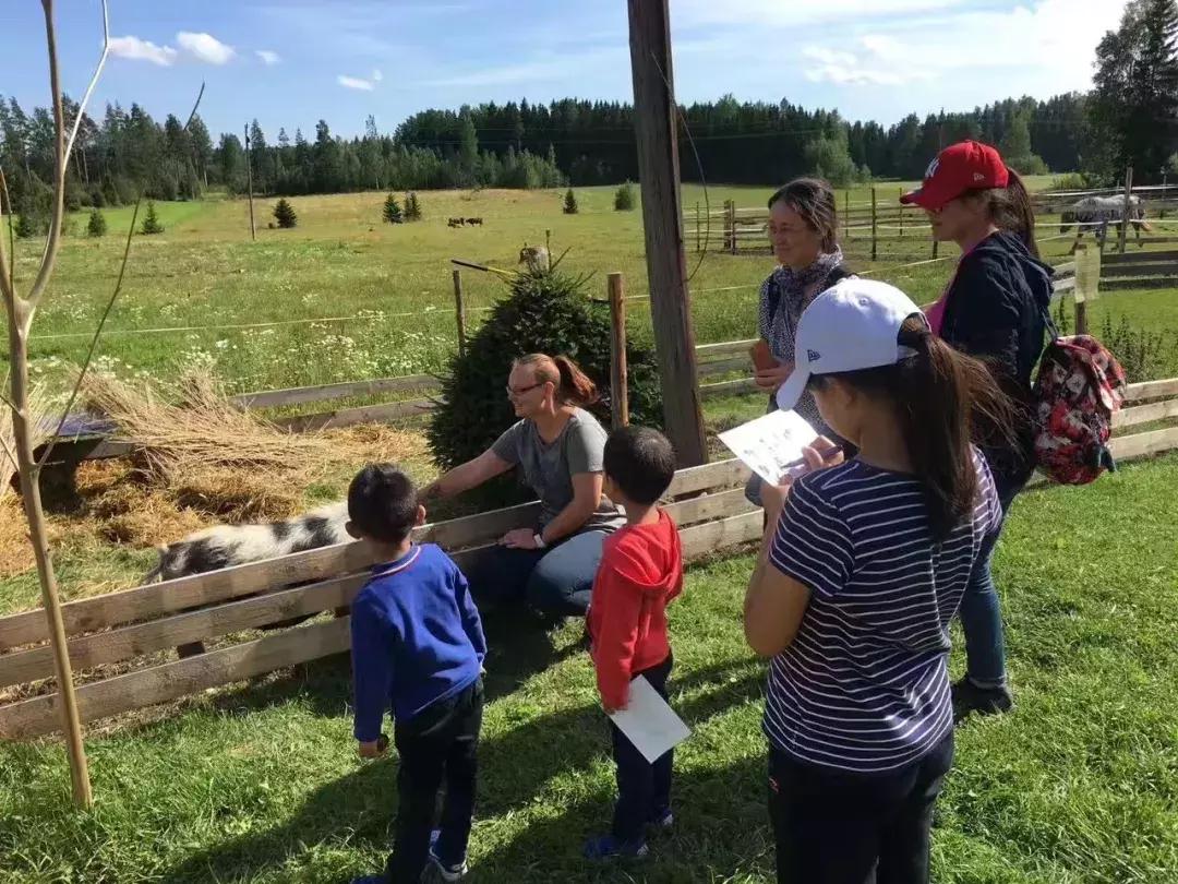 孩子兴趣班学哪些有用,孩子兴趣班学什么类