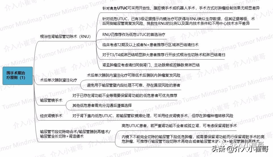 肿瘤护理思维导图,肿瘤免疫思维导图
