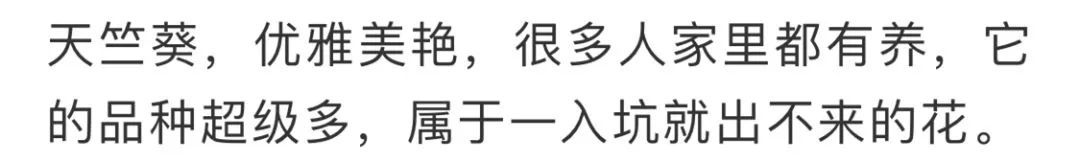 看到花的时候，不知是什么花？那就收下这份百花图谱