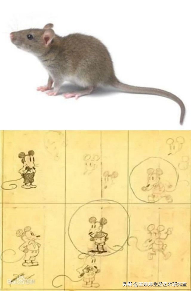 美术班种类大全,美术班分为哪几种