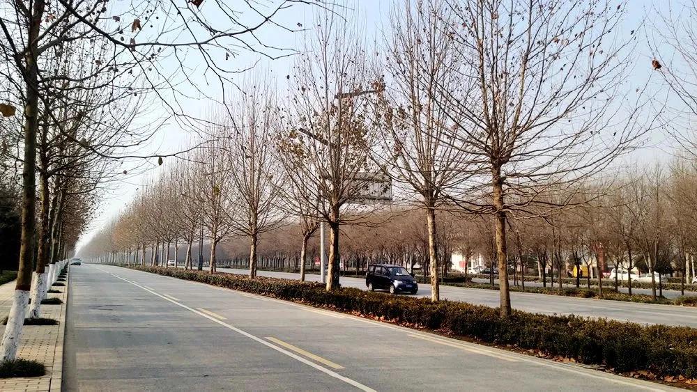 咸阳文兴路f4哪个位置最好,咸阳文兴路f4能火多久