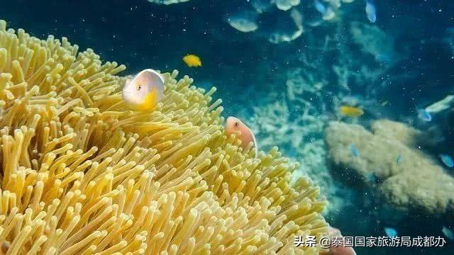 泰国拉廊有什么玩,泰国拉廊府景点