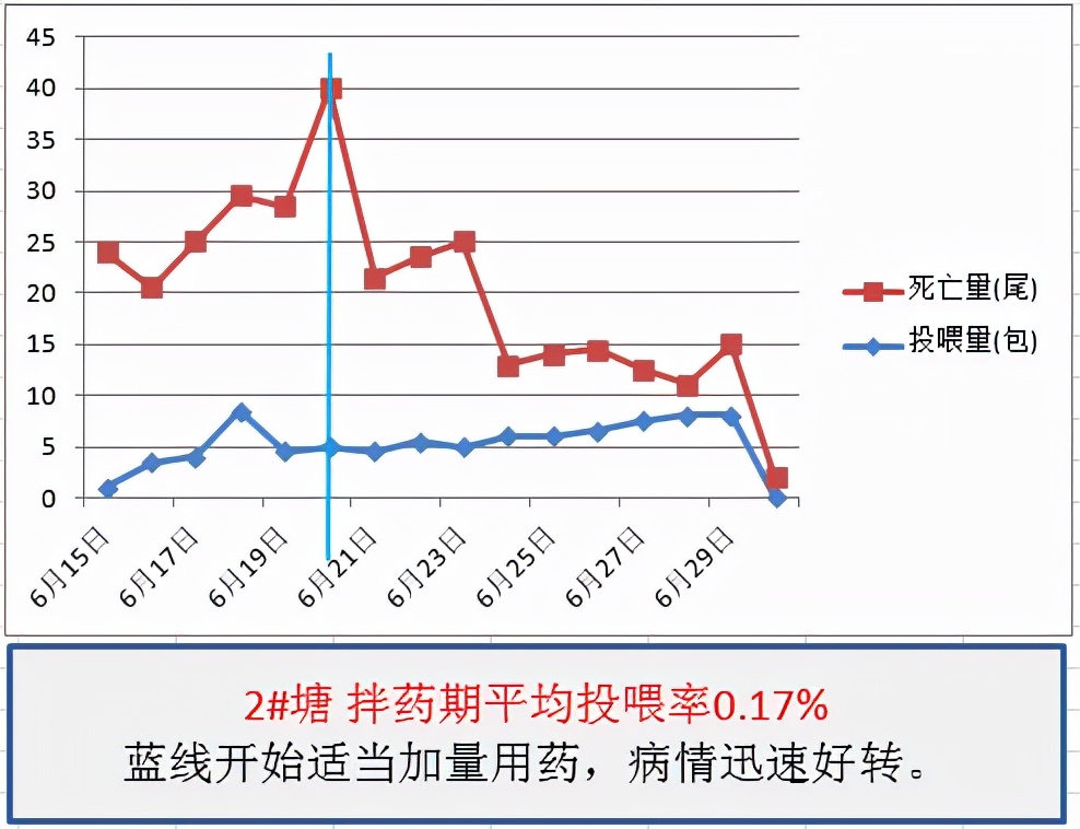 鱼得了肠炎还能活多久,生鱼烂身治疗