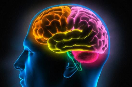 为什么头掉了身子还能动,头要是掉了身体和头部还有知觉吗