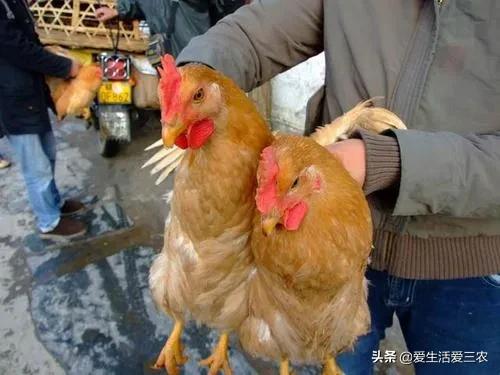 容易赚钱的几种小生意,现在什么小生意可以赚钱