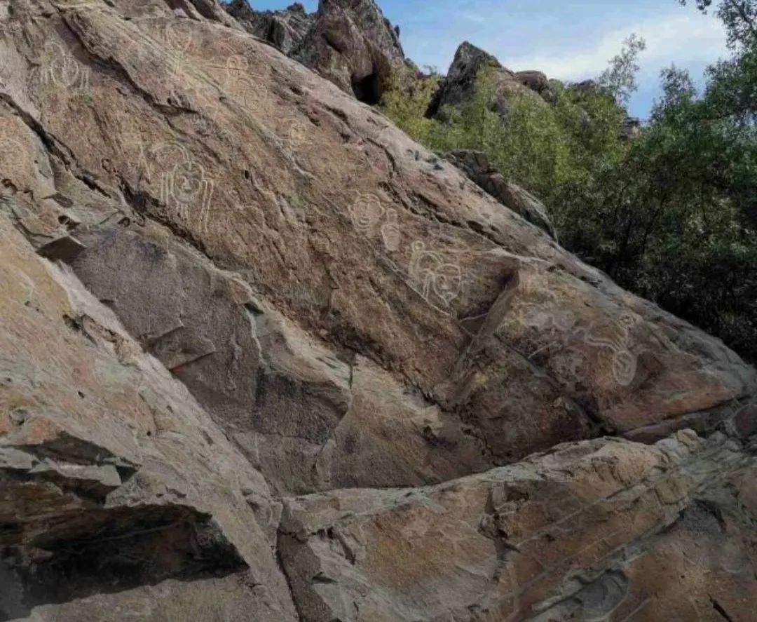 随心走旅游,宁夏自由行旅游攻略