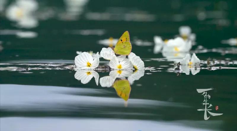 好听到起鸡皮疙瘩的英文歌,好听到起鸡皮疙瘩的翻唱歌曲