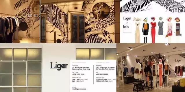 赵薇赵又廷,范冰冰杨幂高圆圆赵薇孙俪