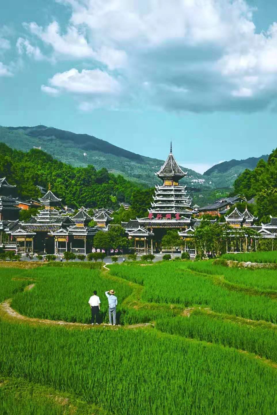 和生物多样性会议一起第九季孤独美食家贵州火锅完结了走游慢活族