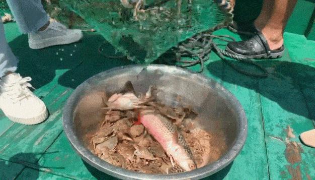 国庆宁海必去十大景点,宁海小众景点