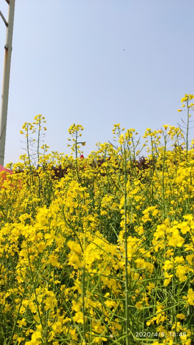 现代情诗惊艳,催人泪下的现代爱情诗