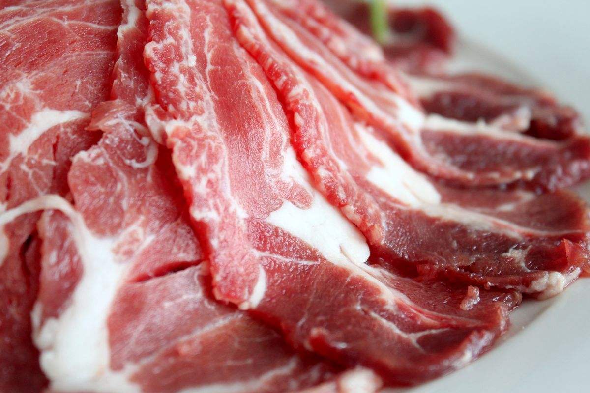 猫咪可以不吃猫粮吗只吃肉吗,猫咪不吃猫粮怎么办教你三招治疗