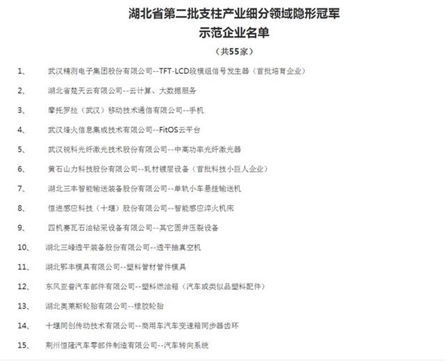 十堰100强民营企业榜单发布,十堰市2017年龙头企业