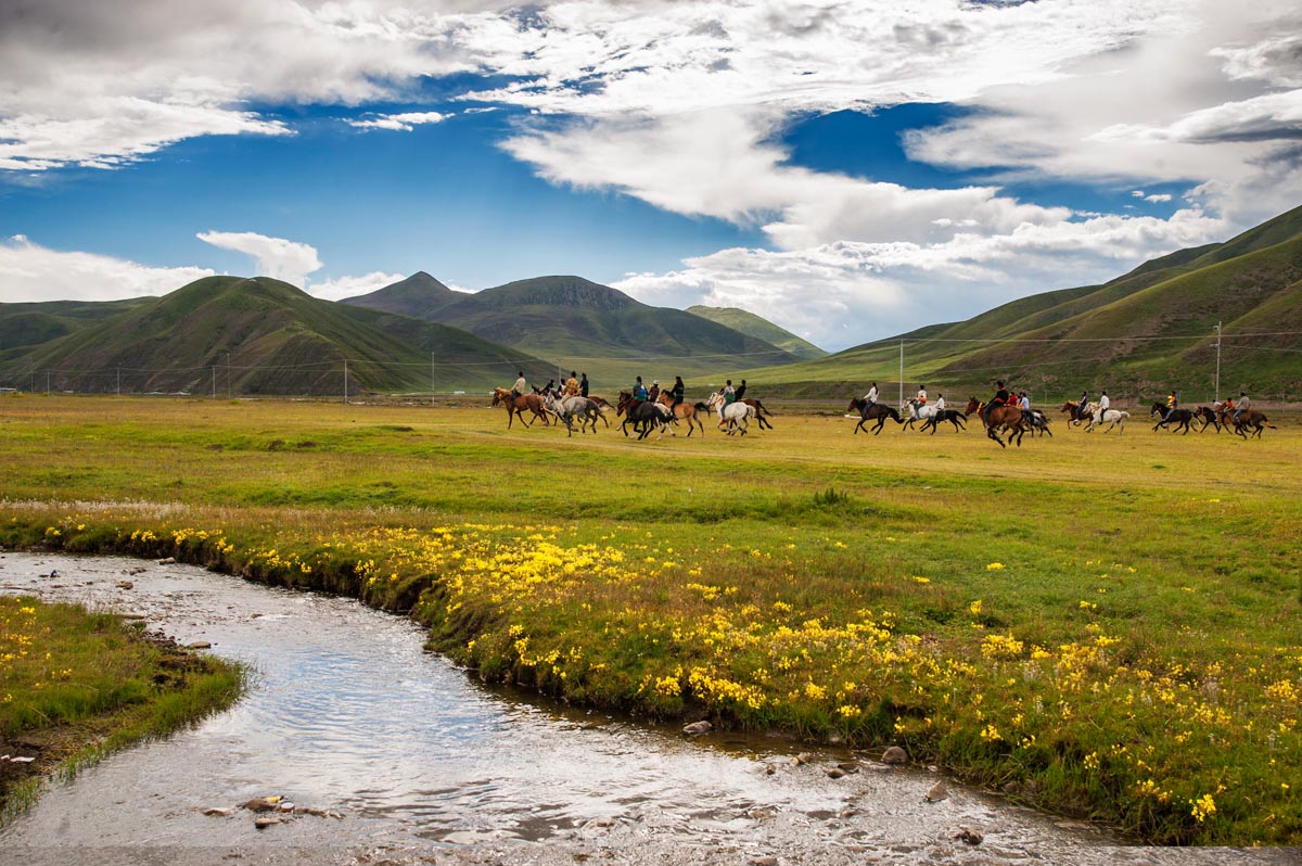有一种美叫九寨沟,有一种美丽叫若尔盖