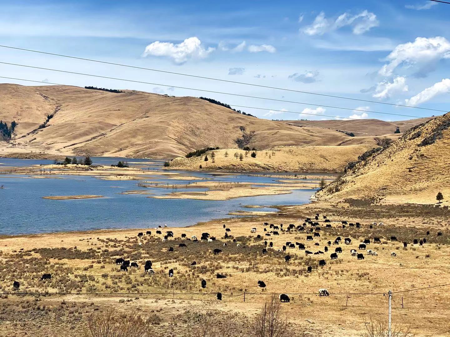 2020摩旅西藏纪录片,木里藏族自治县摩旅