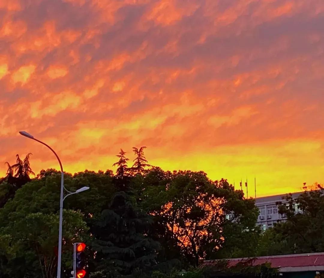 江苏省高校（九）扬州大学