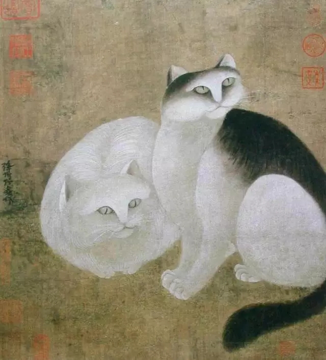 故宫十大御猫小崽儿,历史上真实的故宫御猫