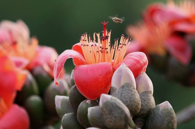 官宣足球场,关于足球场的官宣照片