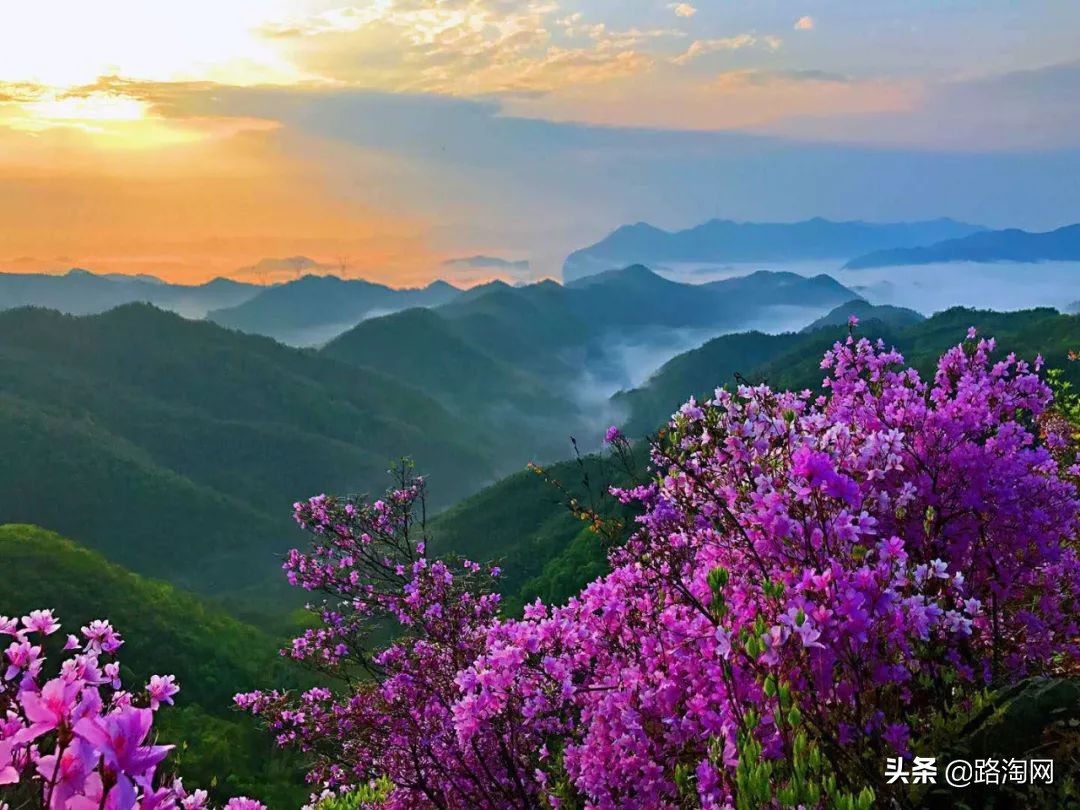 五一小长假结束再看一波各地美景,五一小长假去哪登山踏青看花好